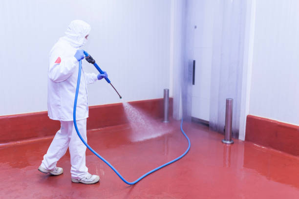 Best Driveway Pressure Washing  in Dania Beach, FL