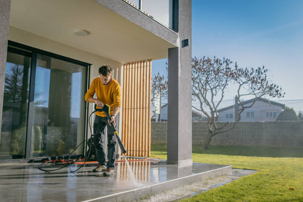 Best Graffiti Removal  in Dania Beach, FL